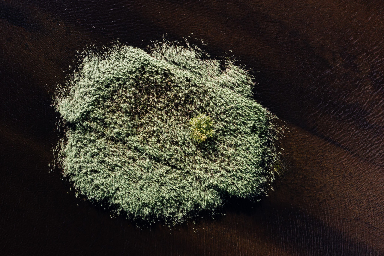 From The Series Prosperous - AOP Finalist